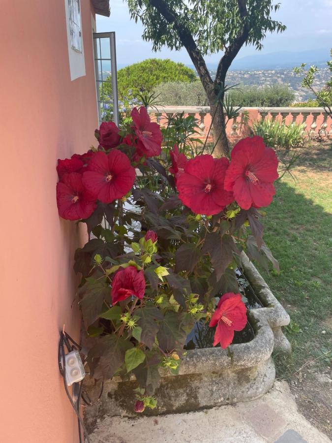Chambre D'Hotes A L'Ancre Marine De La Villa Rose Nice Exteriér fotografie